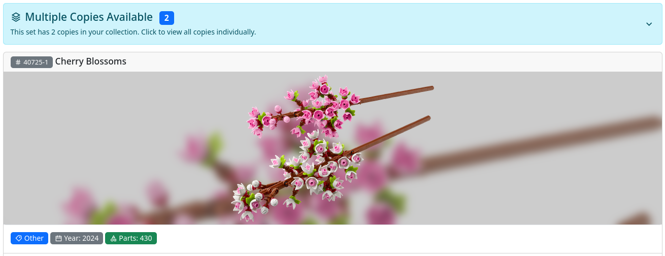 Multiple copies alert